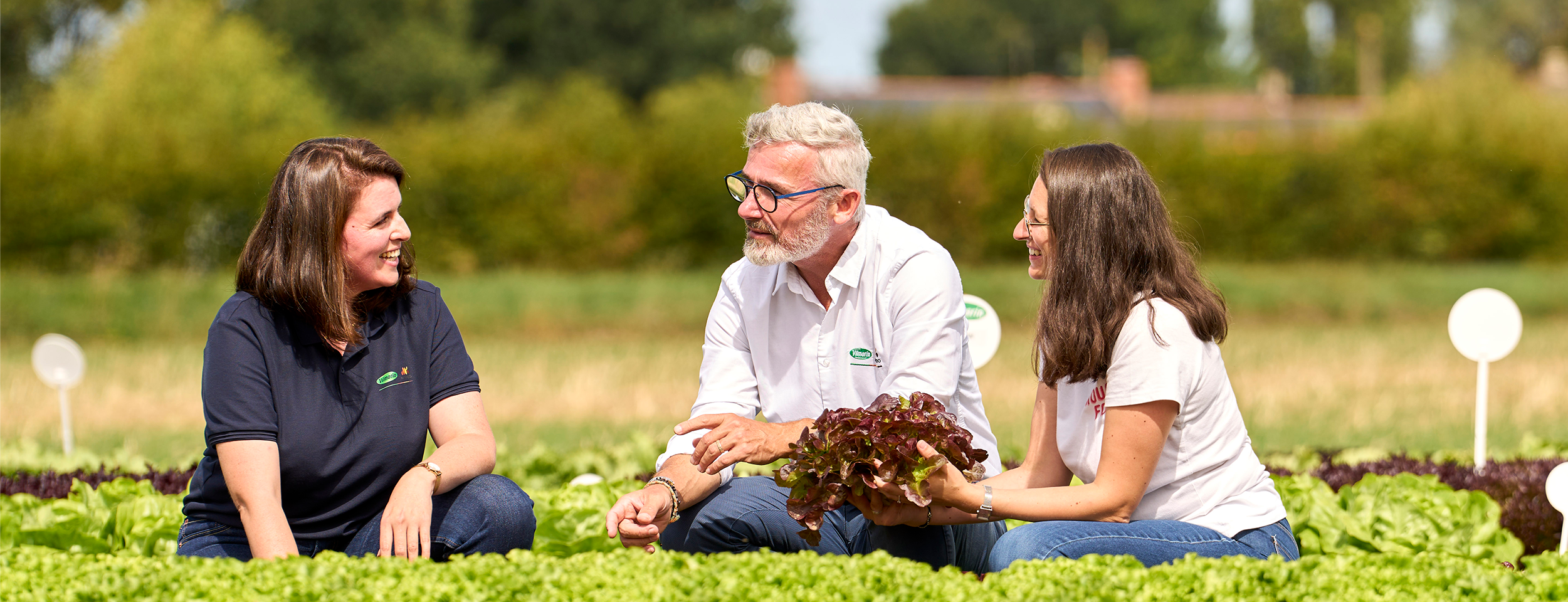 Vilmorin-Mikado France, expert en semences potagères