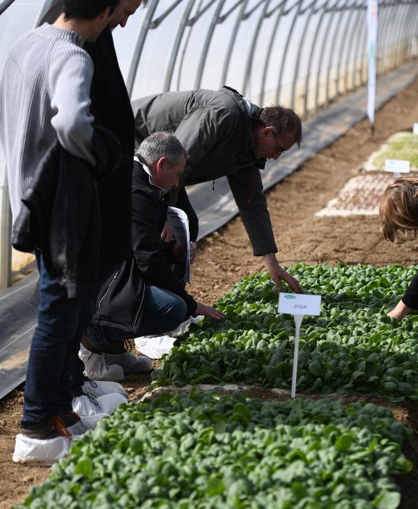 VISITE TUNNEL JEUNES POUSSES