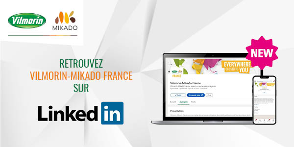 Annonce compte Vilmorin-Mikado France LinkedIn