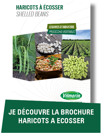 Brochure haricots secs a ecosser