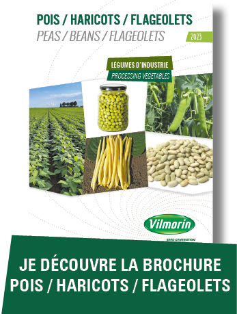 Je decouvre la brochure Haricots/pois/flageolets