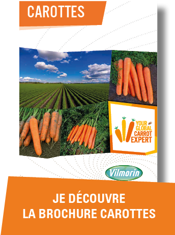 Je decouvre la brochure carottes