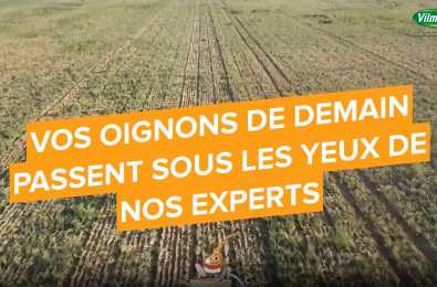 Video vos oignons passent sous les yeux de nos experts