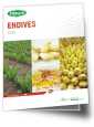 Brochure endives 2026