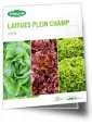 Brochure laitues plein champ 2026