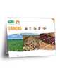 Brochure oignons 2025