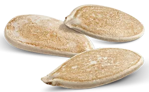 Semences de courgette