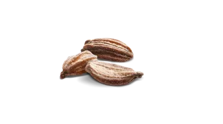 Semences de carotte