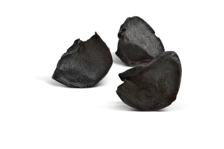 Semences d'oignons