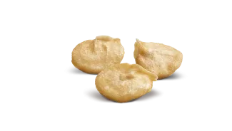 Semence de poivrons