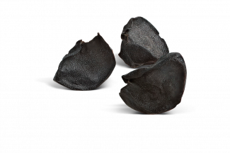 semences oignons