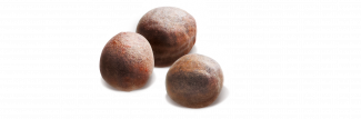 Semences Choux