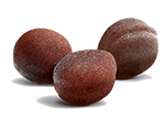 semences navet