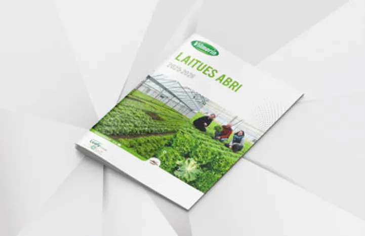 Couverture brochure laitues abri 25-26