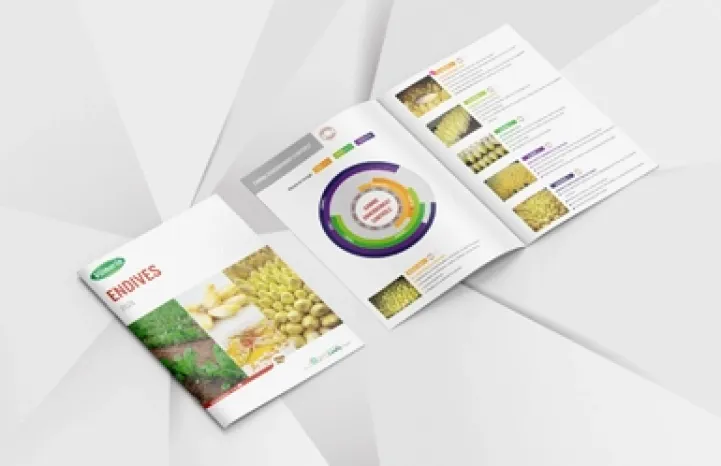 Couverture et intérieur brochure