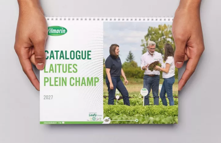 Nouveau catalogue