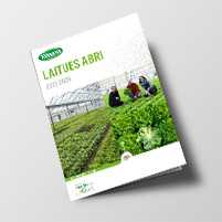 Laitues Abri