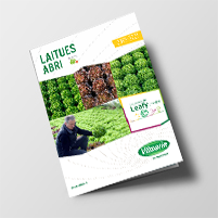 Laitues Abri