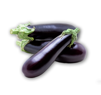 Aubergine