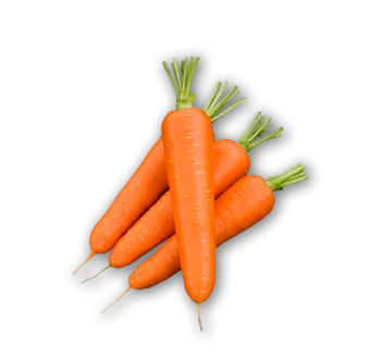 PPA Carottes