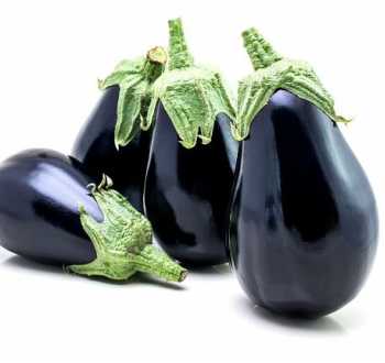 bonica