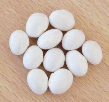 Cocobel