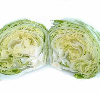 patrobas