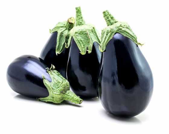 bonica