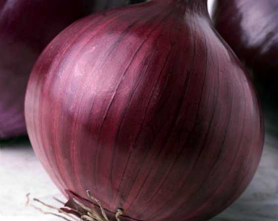Oignon Kamal